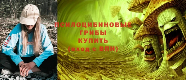 apvp Зеленокумск