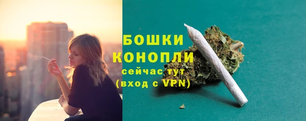 a pvp Инсар