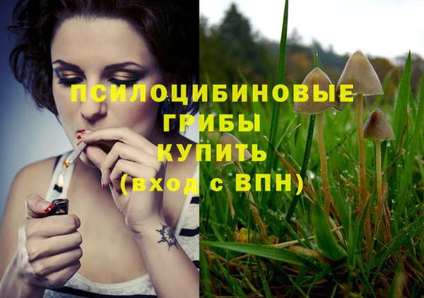 мяу мяу мука Чердынь