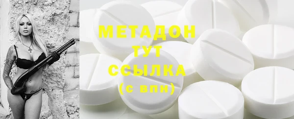 прущие грибы Инта