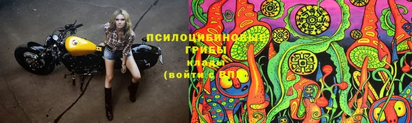 a pvp Инсар