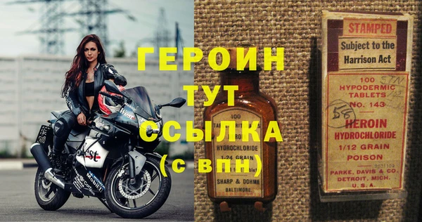 прущие грибы Инта