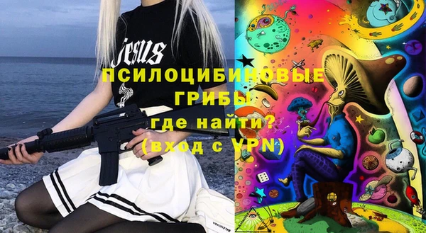 прущие грибы Инта
