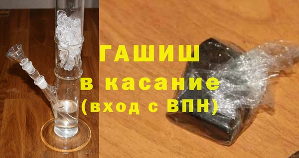 прущие грибы Инта