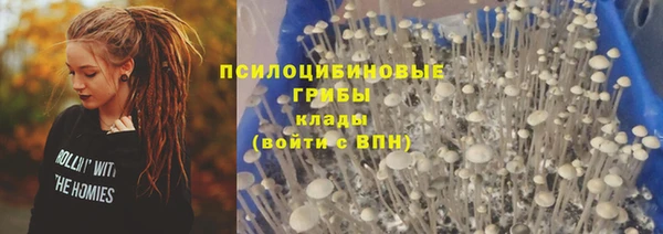 a pvp Инсар