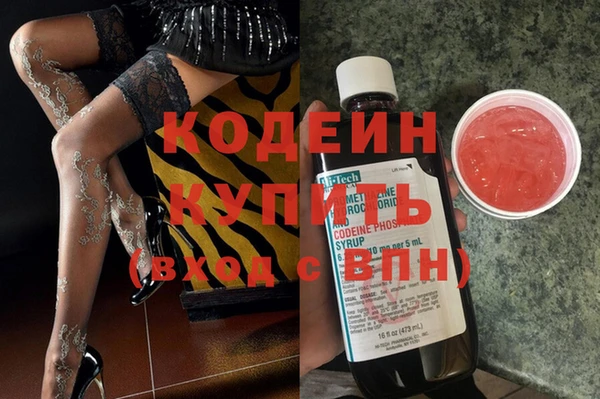 прущие грибы Инта