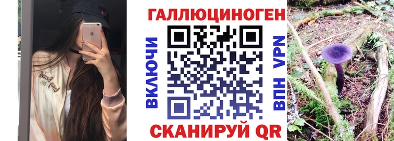 нарко площадка телеграм  Коркино  Псилоцибиновые грибы GOLDEN TEACHER  мега зеркало 