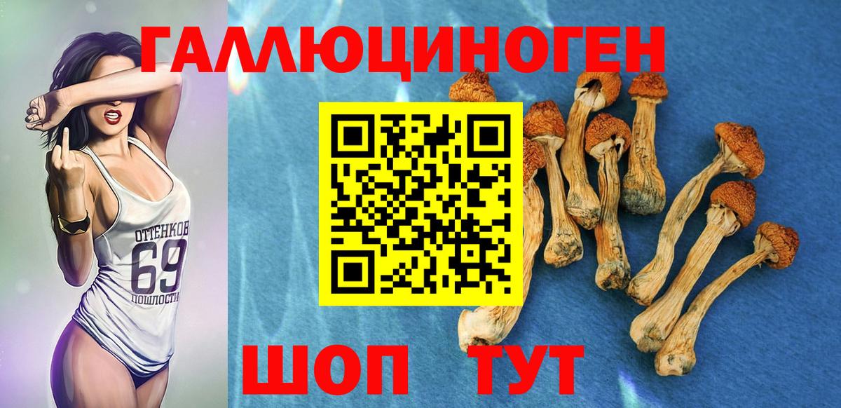 где найти наркотики  Вход с VPN  Коркино  Галлюциногенные грибы Cubensis 