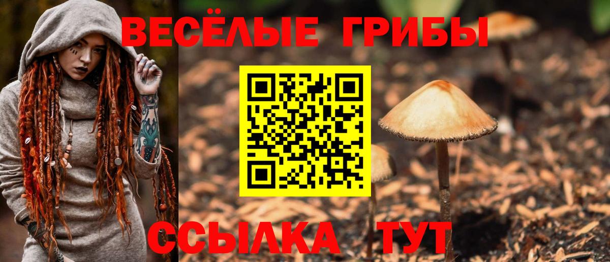 Галлюциногенные грибы MAGIC MUSHROOMS Коркино